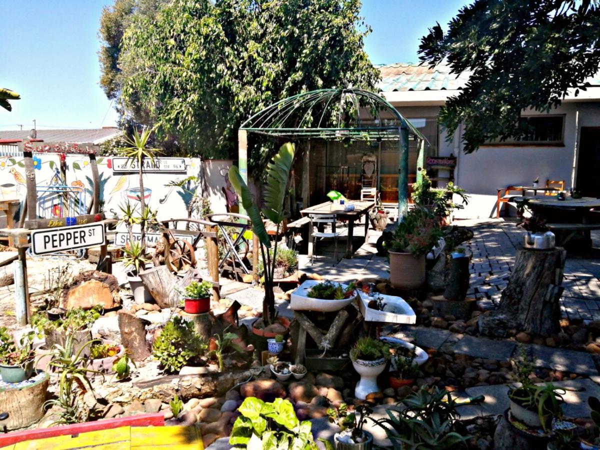 Suzie'S Coffee Shop Accommodation Bellville Exterior photo